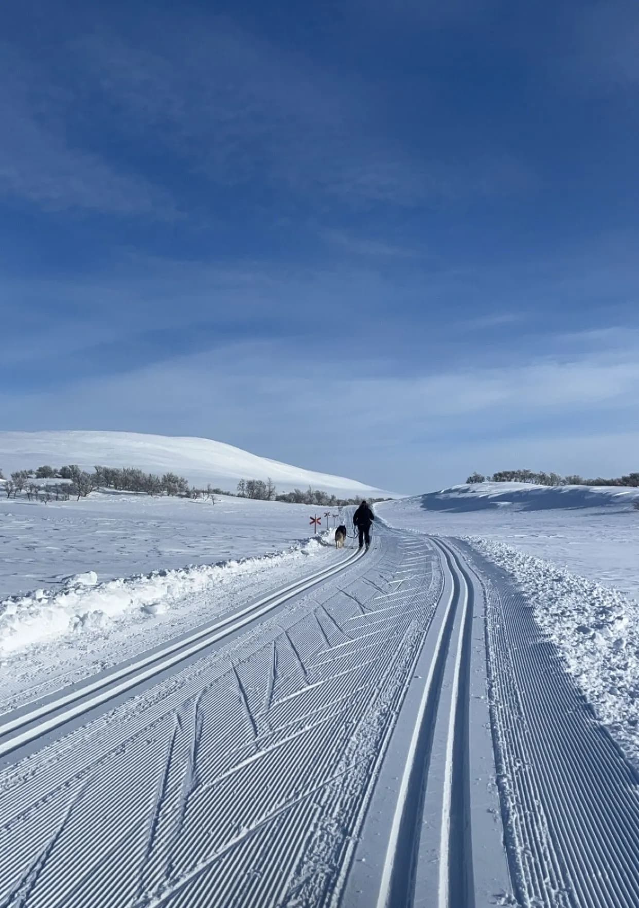 Preparert skiløype gjennom snødekt fjellterreng — midt i et av Europas beste skiområder.