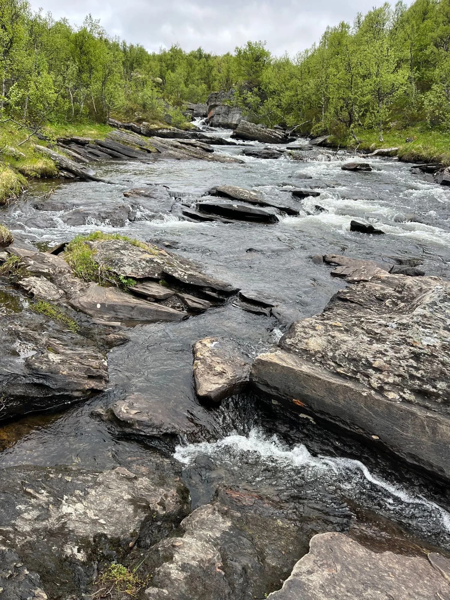 Fjellelv egnet for fiske og bading, omgitt av sommergrønt.