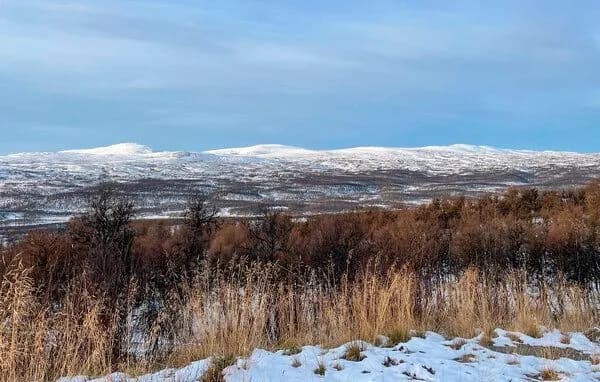 Utsikt mot snøkledde fjell og vidde, med rimkledd kratt i forgrunnen.